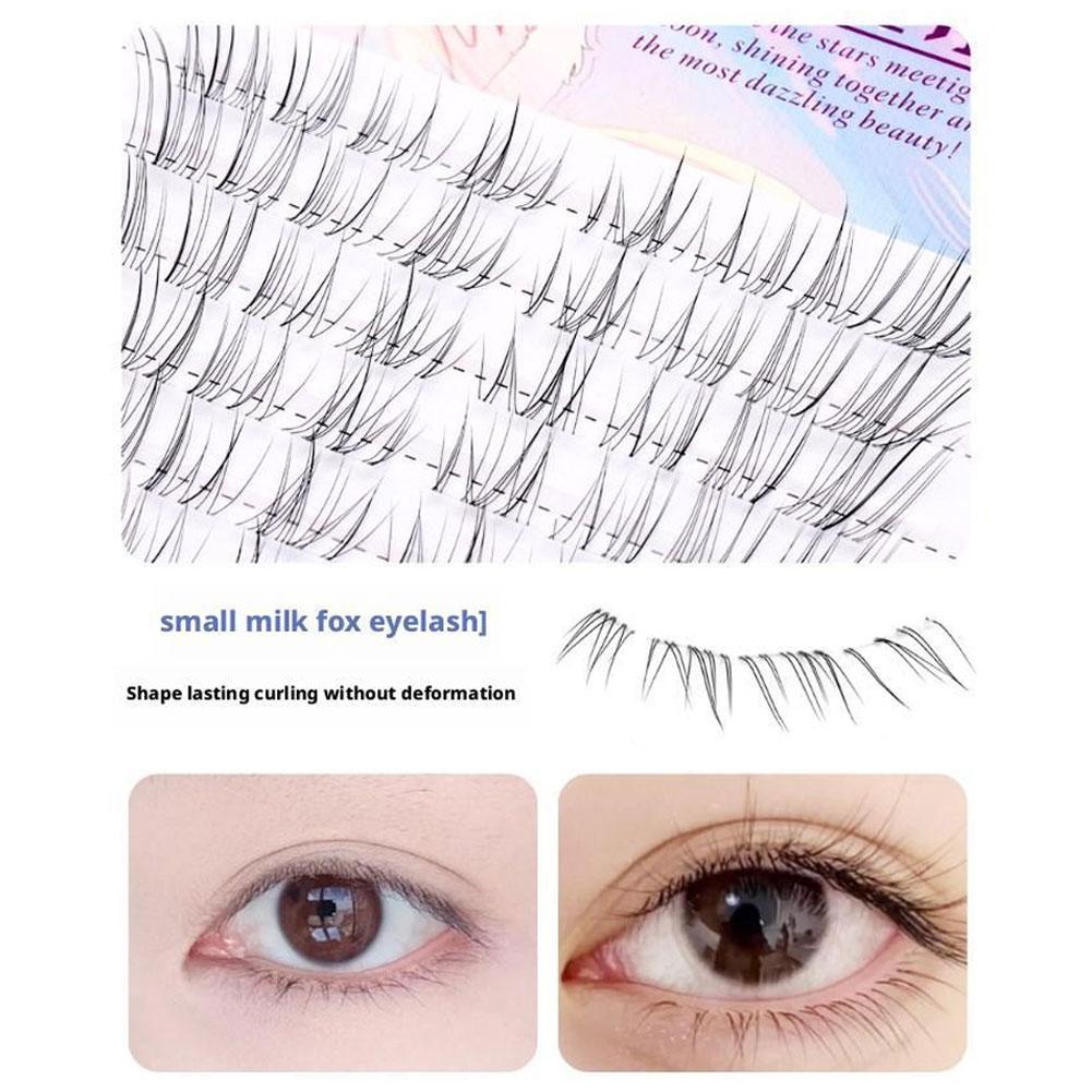 Bulu Mata Palsu Sunflower Lash - Eyelash Extension Douyin ulasan dan harga